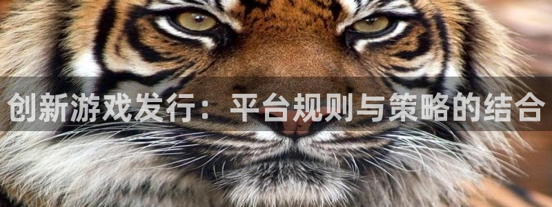 db电竞官网登录注册账号：创新游戏发行：平台规则与策略的结合