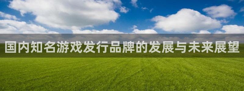 db电竞技术有限公司官网：国内知名游戏发行品牌的发展与未来展望