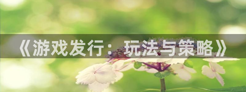 db电竞品牌logo：《游戏发行：玩法与策略》