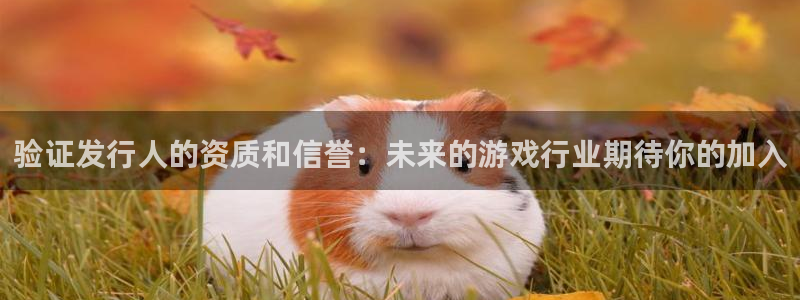 db电竞品牌logo：验证发行人的资质和信誉：未来的游戏行业期待你的加入