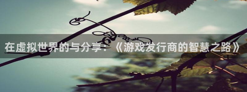 db电竞军团是哪个国家队：在虚拟世界的与分享：《游戏发行商的智慧之路》