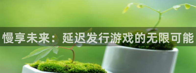 db电竞子书单：慢享未来：延迟发行游戏的无限可能