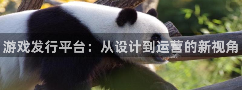 广州db电竞电子商务