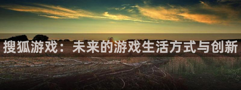 db电竞烟照片：搜狐游戏：未来的游戏生活方式与创新