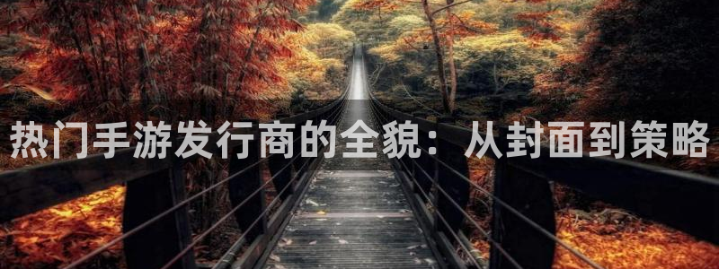 db电竞环境