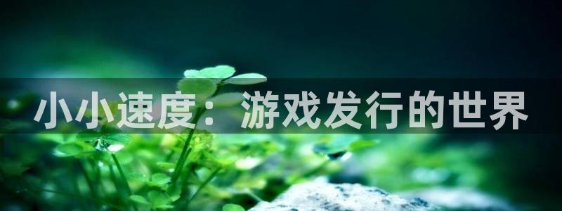 db电竞官网登录注册失败怎么回事：小小速度：游戏发行的世界