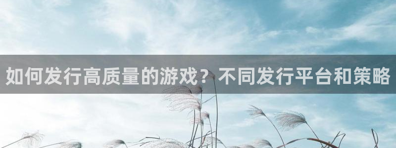 db电竞智得官网：如何发行高质量的游戏？不同发行平台和策略