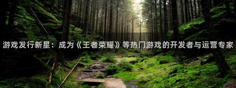db电竞官网注册方法是什么：游戏发行新星：成为《王者荣耀》等热门游戏的开发者与运营专家