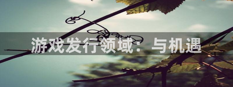 db电竞科技：游戏发行领域：与机遇