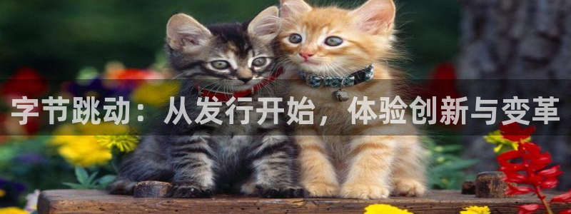 db电竞电子商务有限公司怎么样啊：字节跳动：从发行开始，体验创新与变革