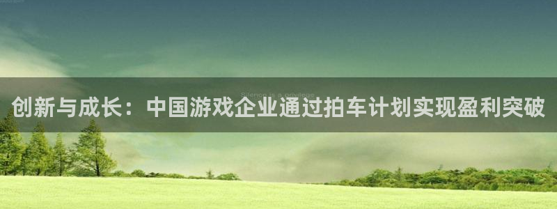 广东db电竞电商bruno：创新与成长：中国游戏企业通过拍车计划实现盈利突破