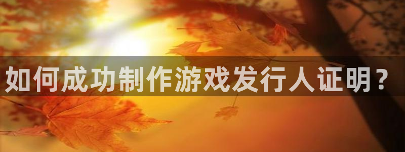 db电竞有什么寓意：如何成功制作游戏发行人证明？