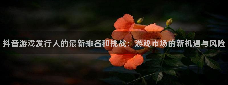 db电竞智邦(北京)品牌策划有限公司：抖音游戏发行人的最新排名和挑战：游戏市场的新机遇与风险