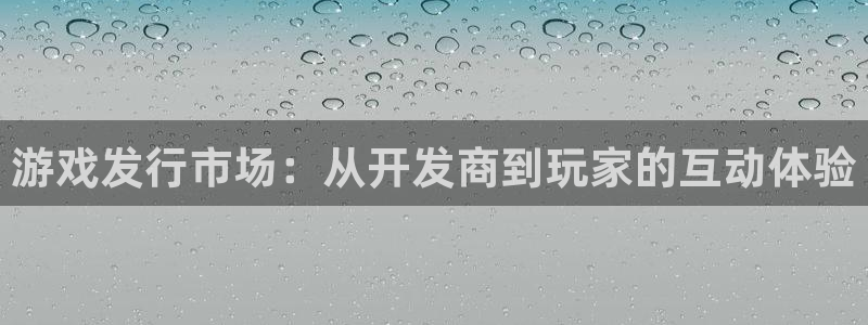 db电竞子招聘：游戏发行市场：从开发商到玩家的互动体验