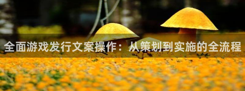 广东db电竞电子科技有限公司 联系电话