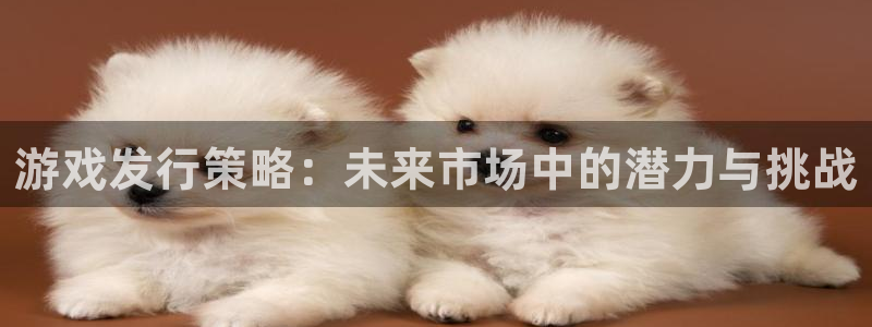 db电竞官网注册方法视频