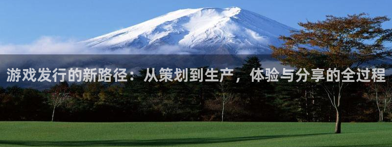 db电竞官网登录注册账号失败怎么回事：游戏发行的新路径：从策划到生产，体验与分享的全过程