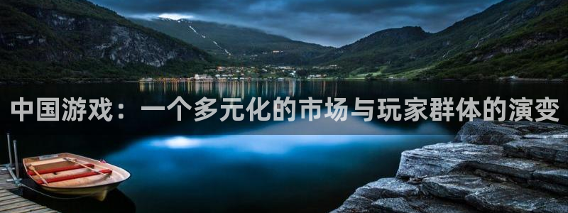 db电竞服装：中国游戏：一个多元化的市场与玩家群体的演变