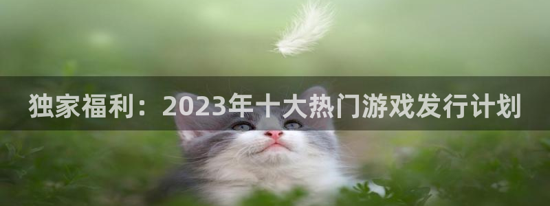 db电竞集团董事长刘一辰简历